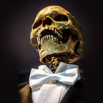 Skeleton in a Tuxedo